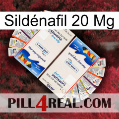 Sildénafil 20 Mg kamagra1